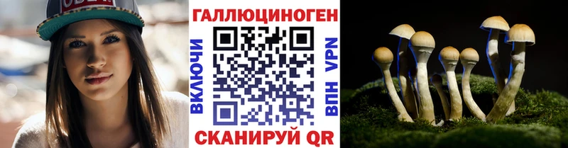 Галлюциногенные грибы Psilocybe Новохопёрск